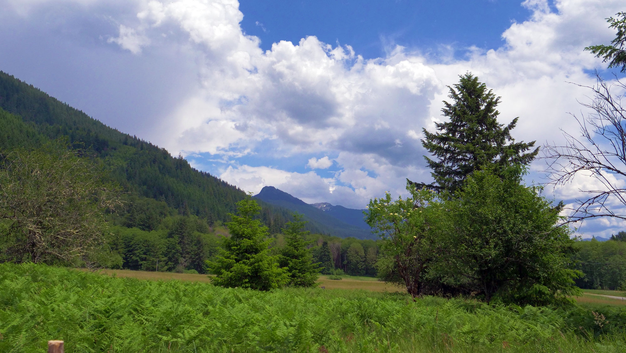 2000x1127 About Paradise Village Hotel Restaurant