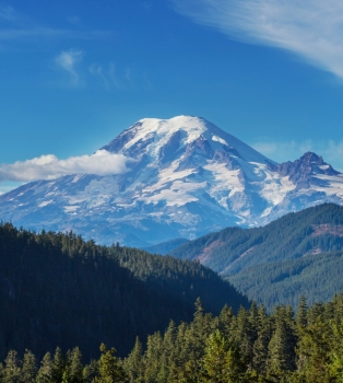 314x350 Smsx Sim Ingimage Cheap Royalty Free Subscription