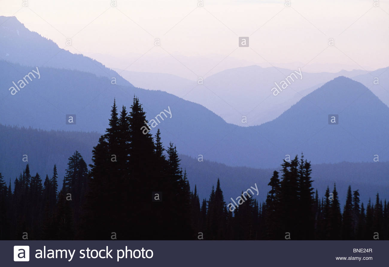 1300x892 Huge Collection Of 'mt Rainier Silhouette' Download More Than