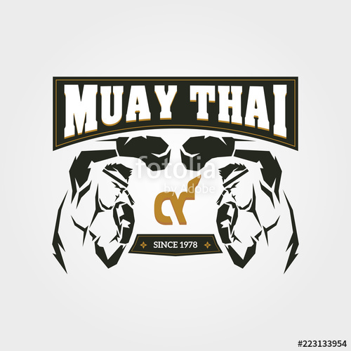 Muay Thai Symbol Stock Image And Royalty Free Vector 500x500 Muay Thai Symbol Stock Image And Royalty Free Vector