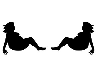 340x270 Mudflap Etsy