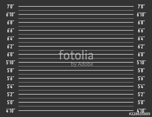 500x387 Police Lineup Or Mugshot Background Vector Illustration Stock