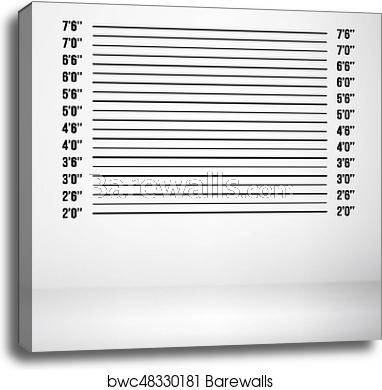 382x390 Police Mugshot Vector Police Lineup Isolated On White Background