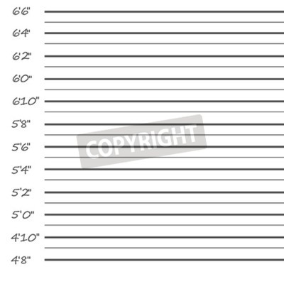 400x400 Police Mugshot Police Lineup On White Background Vector