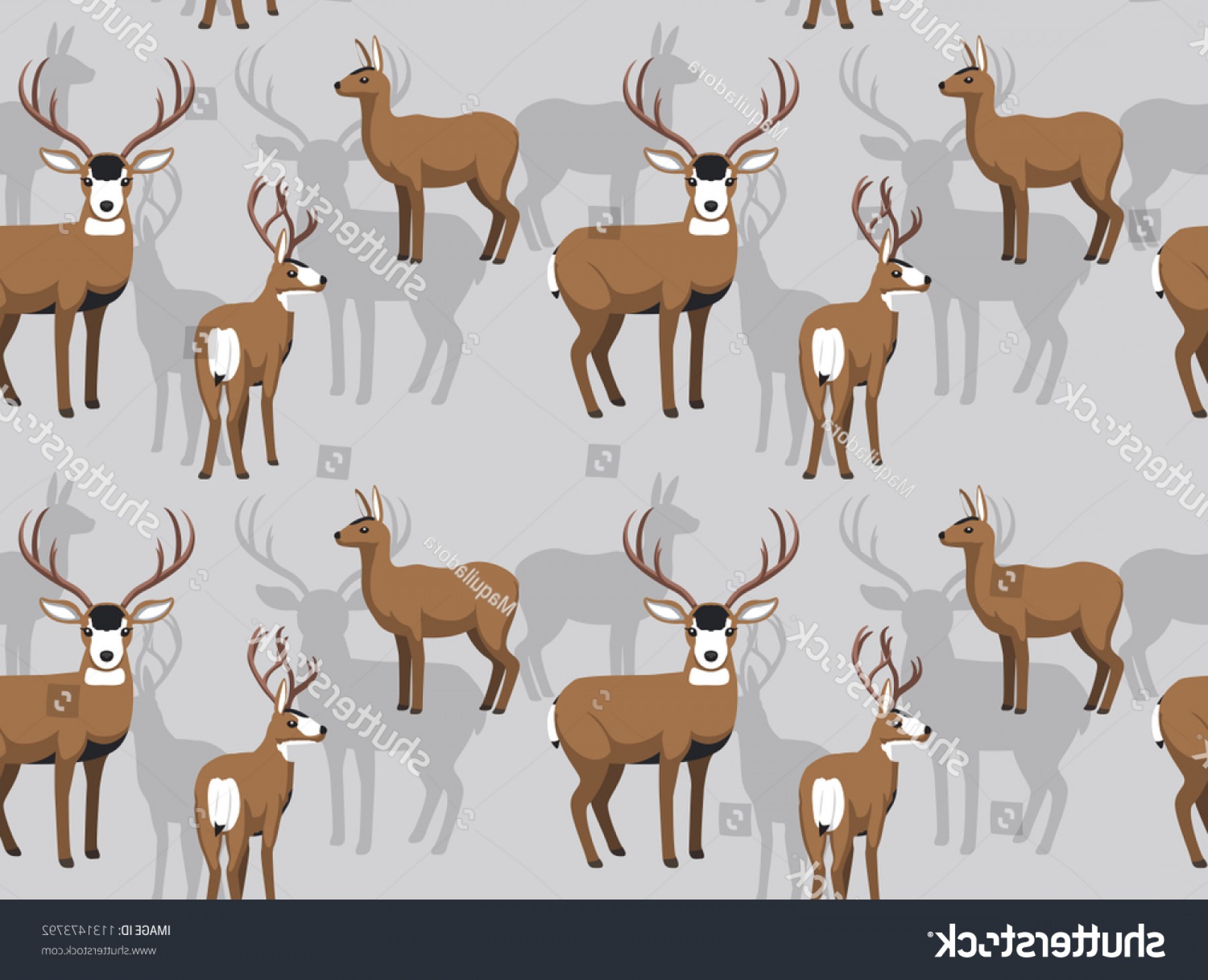 Mule Deer Vector Soidergi 1800x1461 Mule Deer Vector Soidergi