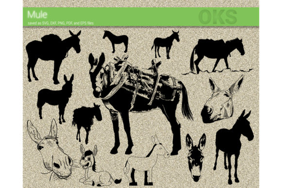 Mule Vector Graphic 580x386 Mule Vector Graphic