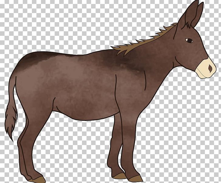 Mule T Shirt Pony Donkey Png, Clipart, Animal, Animals, Drawing 728x603 Mule T Shirt Pony Donkey Png, Clipart, Animal, Animals, Drawing