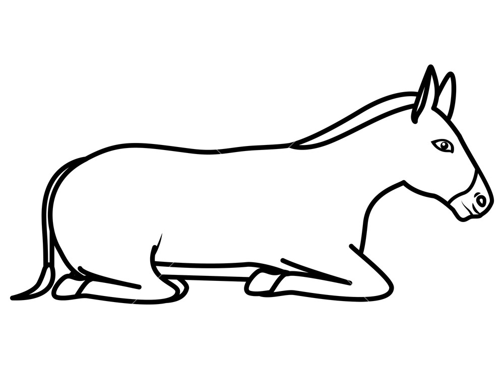 Cute Mule Manger Character Vector Illustration Design Royalty Free 1000x733 Cute Mule Manger Character Vector Illustration Design Royalty Free