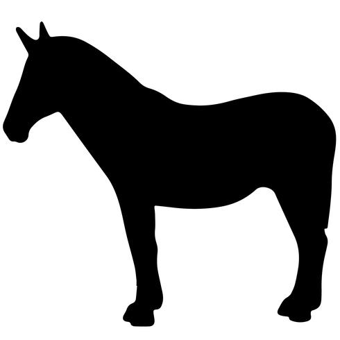Mule Vector 490x490 Mule Vector
