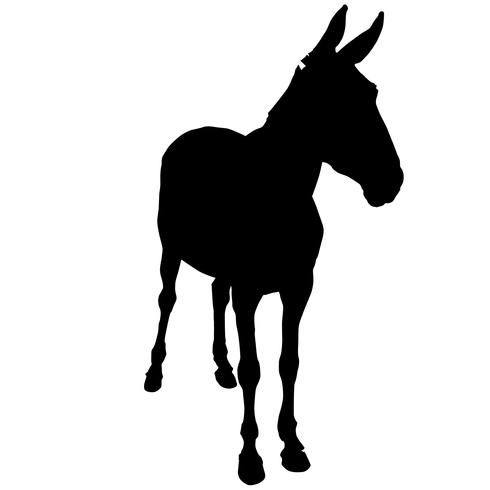 Mule Vector 490x490 Mule Vector