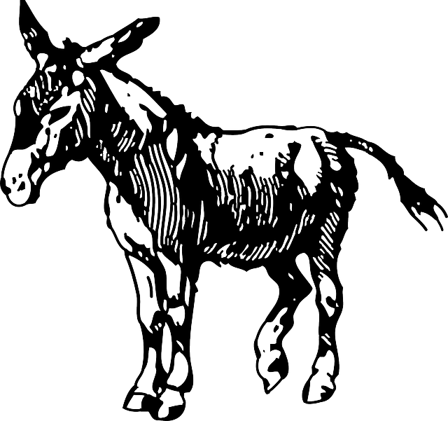 640x601