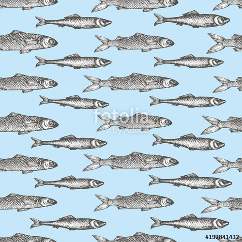 500x500 Hand Drawn Sketch Seafood Background Vector Seamless Pattern