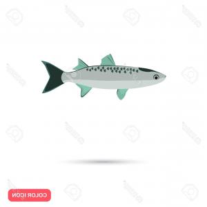 300x300 Photostock Vector Mullet Fish Color Flat Icon Createmepink