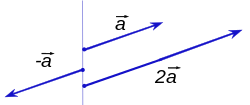 Scalar Multiplication 250x105 Scalar Multiplication