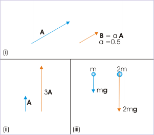 Vectors Boundless Physics 301x263 Vectors Boundless Physics