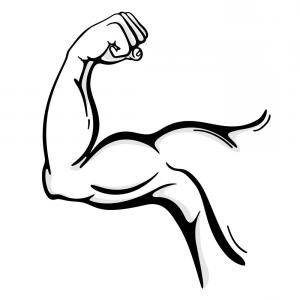 Bodybuilder Muscle Flex Arm Vector Hoodamathrun 300x300 Bodybuilder Muscle Flex Arm Vector Hoodamathrun