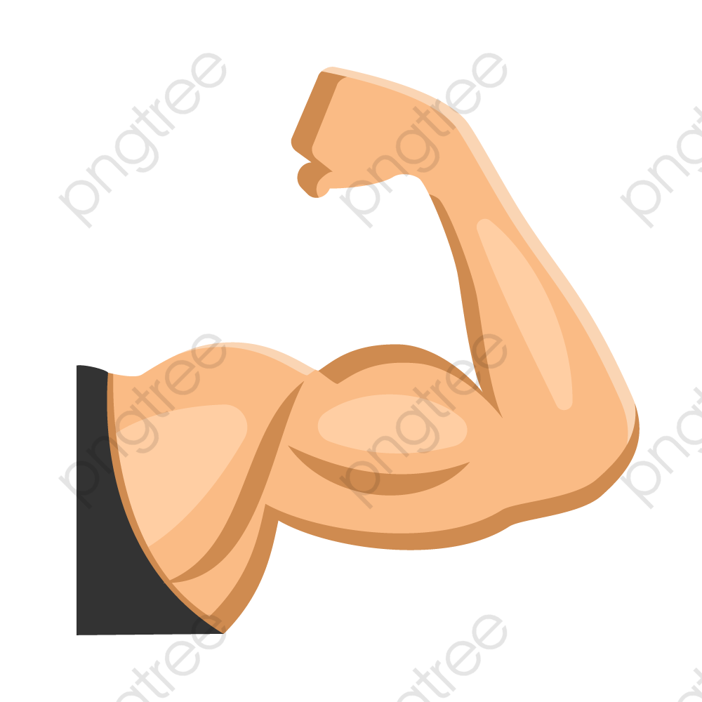 Fitness Muscle Arm, Fitness Vector, Fitness, Muscle Png And Vector 1000x1000 Fitness Muscle Arm, Fitness Vector, Fitness, Muscle Png And Vector