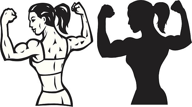 Muscle Arm Clipart 612x340 Muscle Arm Clipart