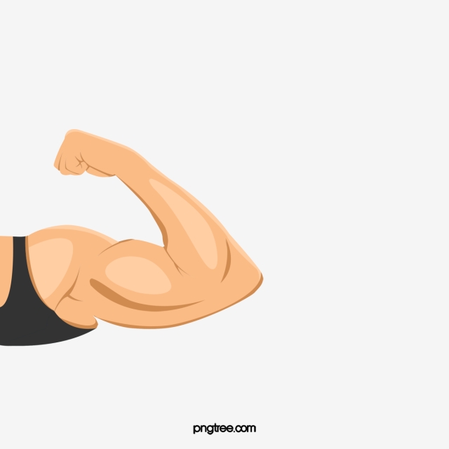Muscle Arm Png Images Vector And Free Download 640x640 Muscle Arm Png Images Vector And Free Download