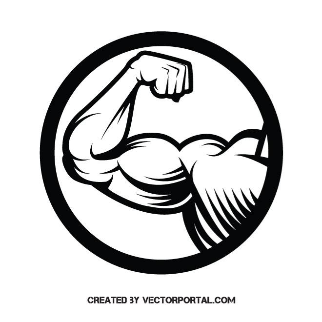 Muscular Arm Vector Image 660x660 Muscular Arm Vector Image