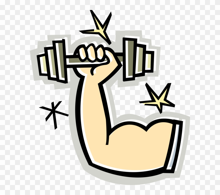Vector Illustration Of Weightlifter Muscular Arm 880x780 Vector Illustration Of Weightlifter Muscular Arm