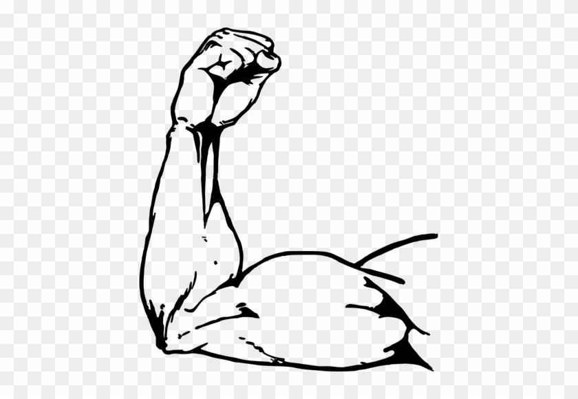 Arm Free Clipart Vectors 840x580 Arm Free Clipart Vectors