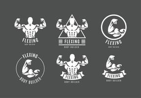 286x200 Muscle Free Vector Art
