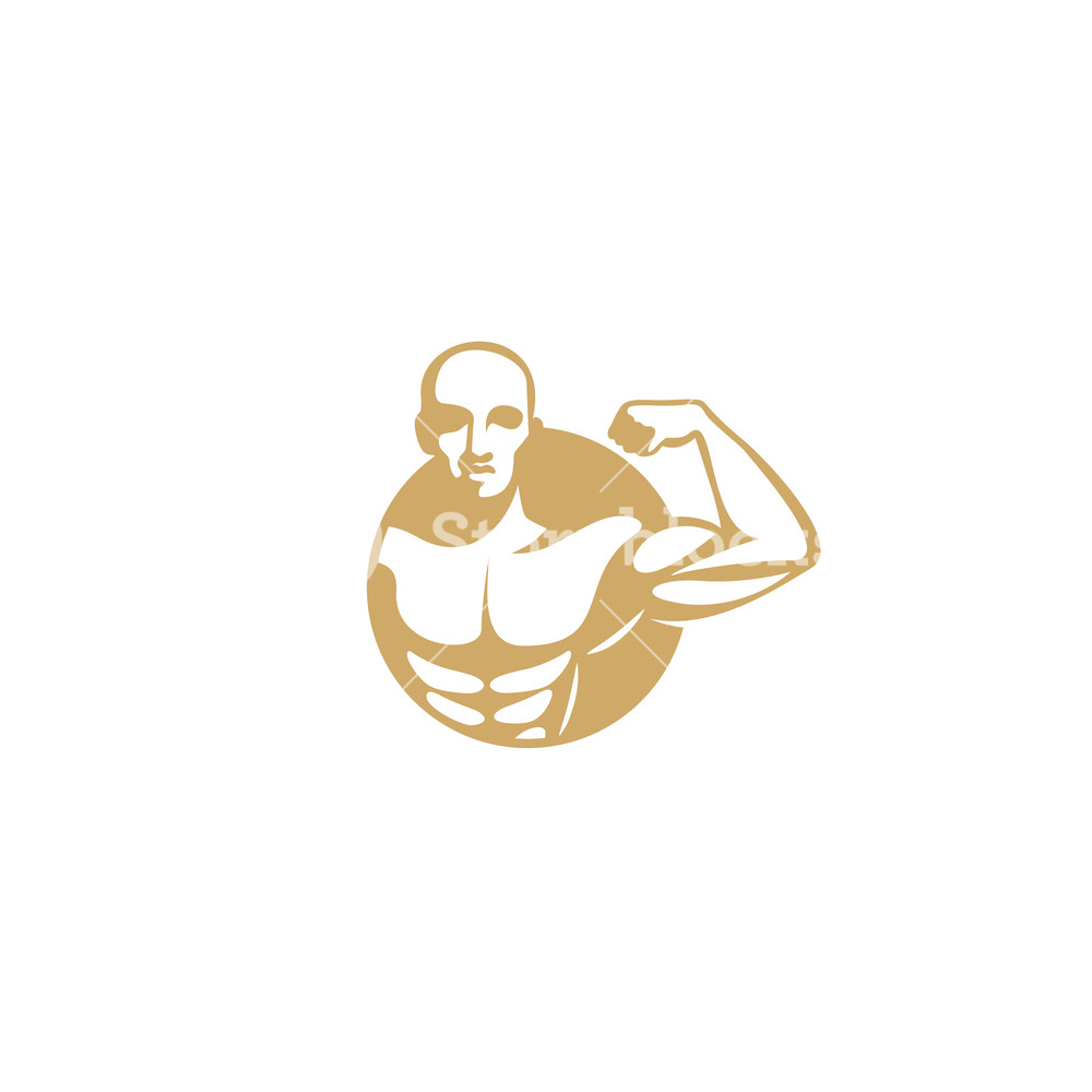 1000x1000 Golden Muscle Man Logo Vector Illustration Royalty Free Stock