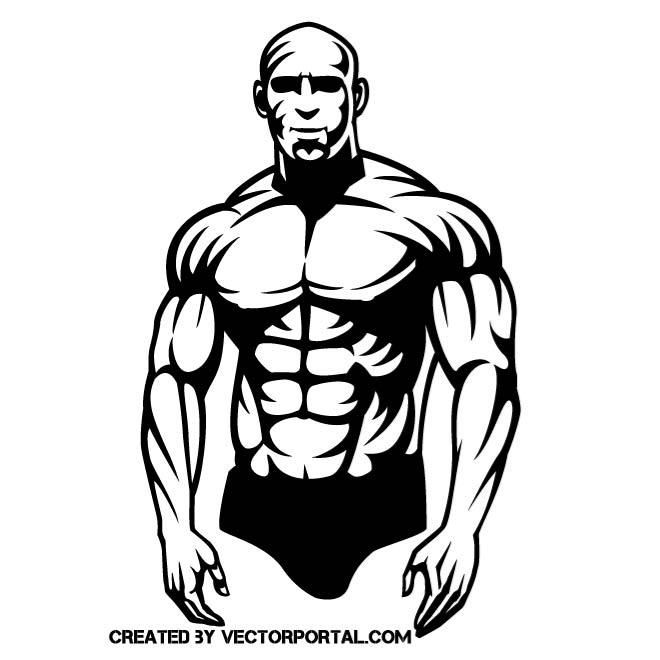 660x660 Musclular Guy Vector Illustration Various Vectors
