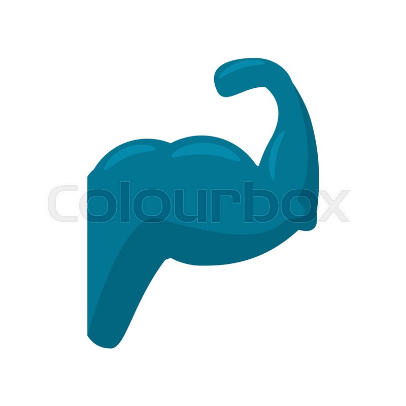 800x800 Hand Muscle Silhouette Icon Vector Stock Vector Colourbox