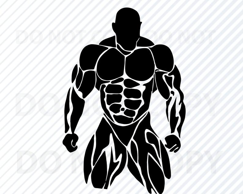 794x635 Muscle For Cricut Vector Images Silhouette Clip Etsy
