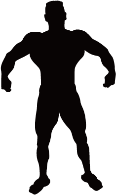 235x393 Vitruvian Man Silhouette Muscle Clip Art