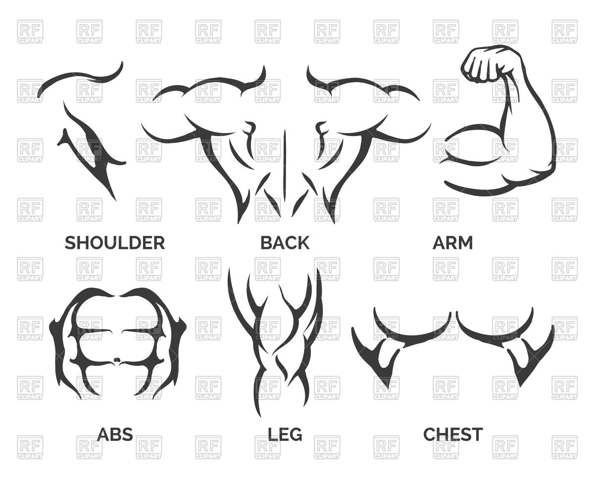 Bodybuilder Muscles Illustration Vector Image Of Icons And Emblems 1200x982 Bodybuilder Muscles Illustration Vector Image Of Icons And Emblems