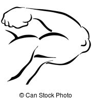 Muscular Arm Clipart 180x195 Muscular Arm Clipart