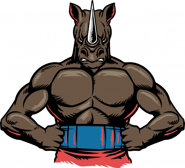 Rhino Muscle Vector Premium Download 626x569 Rhino Muscle Vector Premium Download