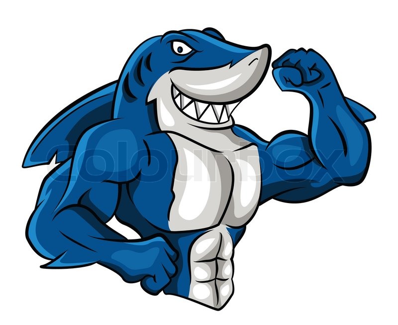 Shark Muscle Stock Vector Colourbox 800x653 Shark Muscle Stock Vector Colourbox