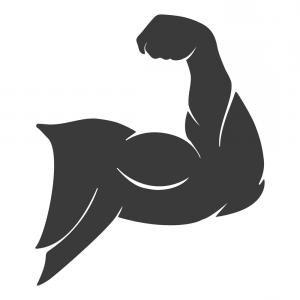 Biceps Muscle Arm Logo Vector Hoodamathrun 300x300 Biceps Muscle Arm Logo Vector Hoodamathrun