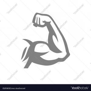 Bodybuilder Muscle Flex Arm Vector Hoodamathrun 300x300 Bodybuilder Muscle Flex Arm Vector Hoodamathrun