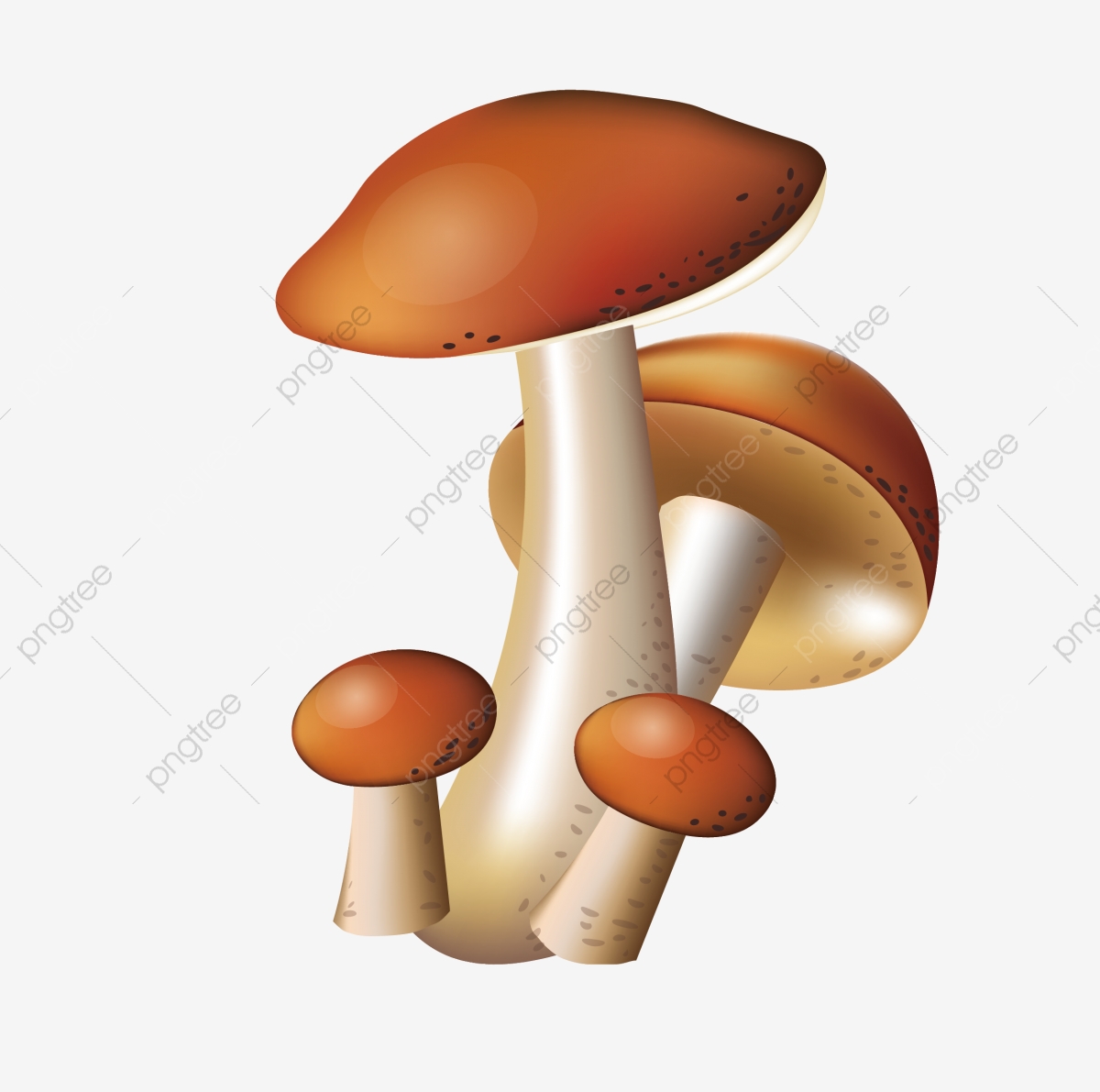 1200x1191 Mushroom Cartoon Cartoon Mushroom Lovely, Cute Mushroom, Delicious