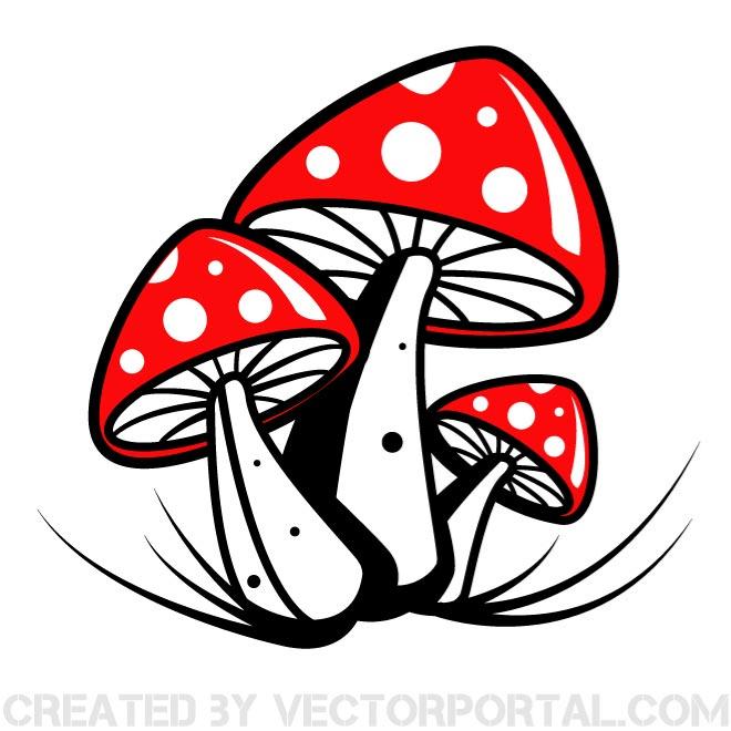 660x660 Poisonous Mushroom Graphics Free Vector