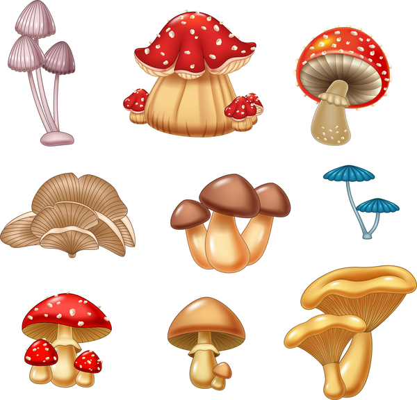 600x576 Cartoon Mushrooms Set Vector Free Download