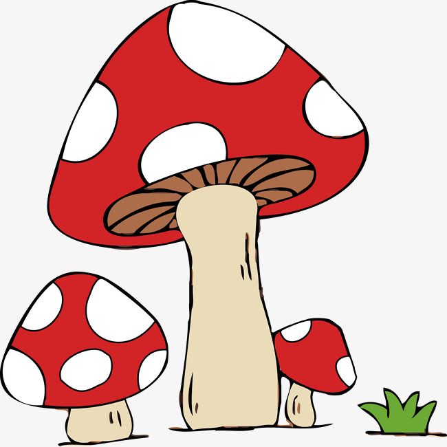 650x650 Vecteur De Dessin De L'herbe Rouge De Champignons, Charmante