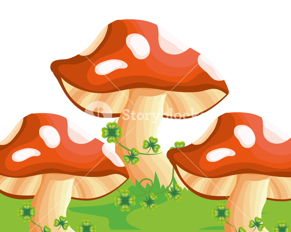 1000x800 Raw Mushrooms Cartoon Vector Illustration Graphic Design Royalty