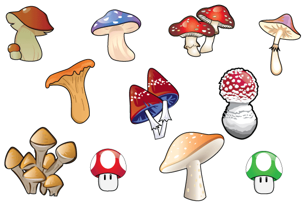 600x400 Free Free Vector Mushroom Files, Vectors Graphics