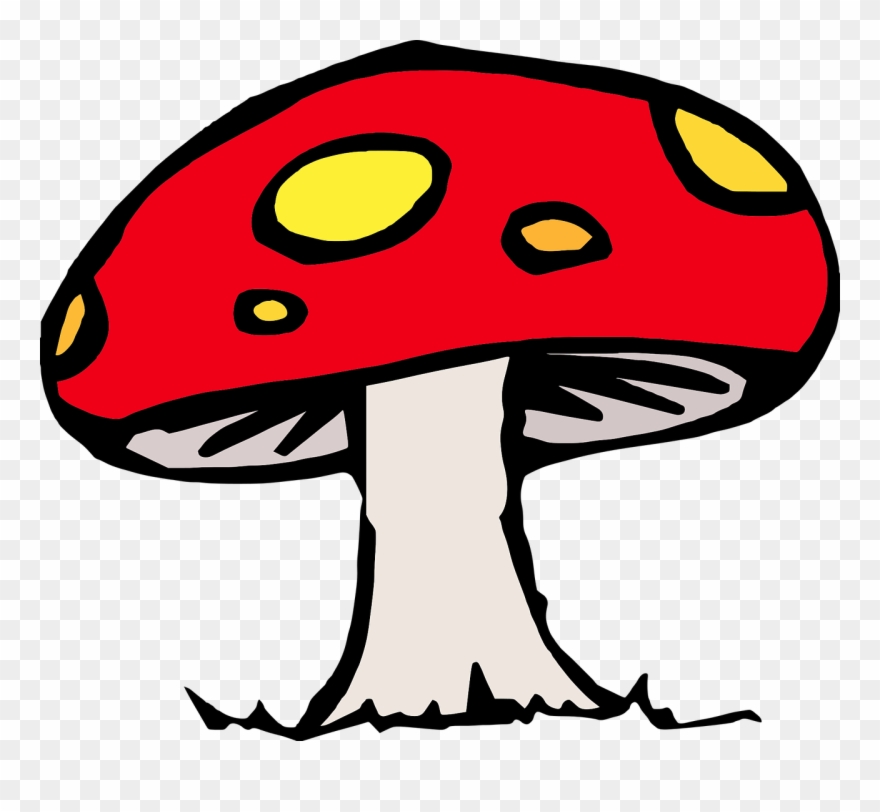 880x812 Mushroom Cloud Vector Buy Clip Art