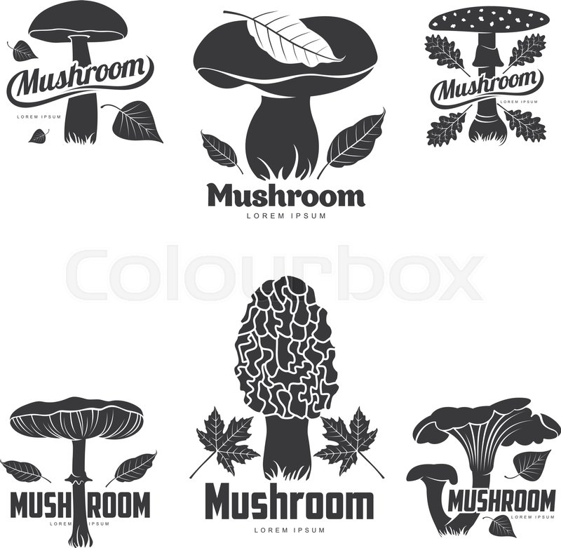 800x781 Mushroom Logo Templates For Your Stock Vector Colourbox