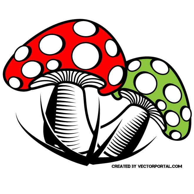 660x660 Poisonous Mushrooms Vector
