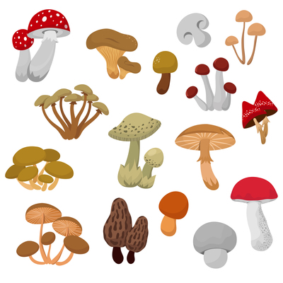 400x400 Page Mushroom On Curated Vector Illustrations, Stock Royalty