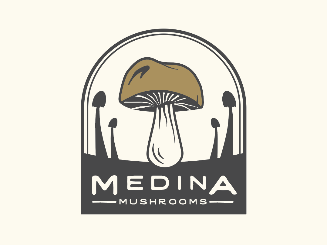 1078x808 The Mushroom People