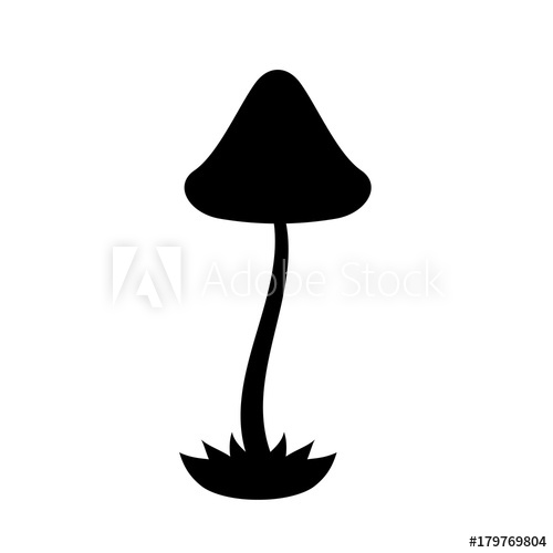 500x500 Magic Mushroom Silhouette Psilocybe Semilanceata